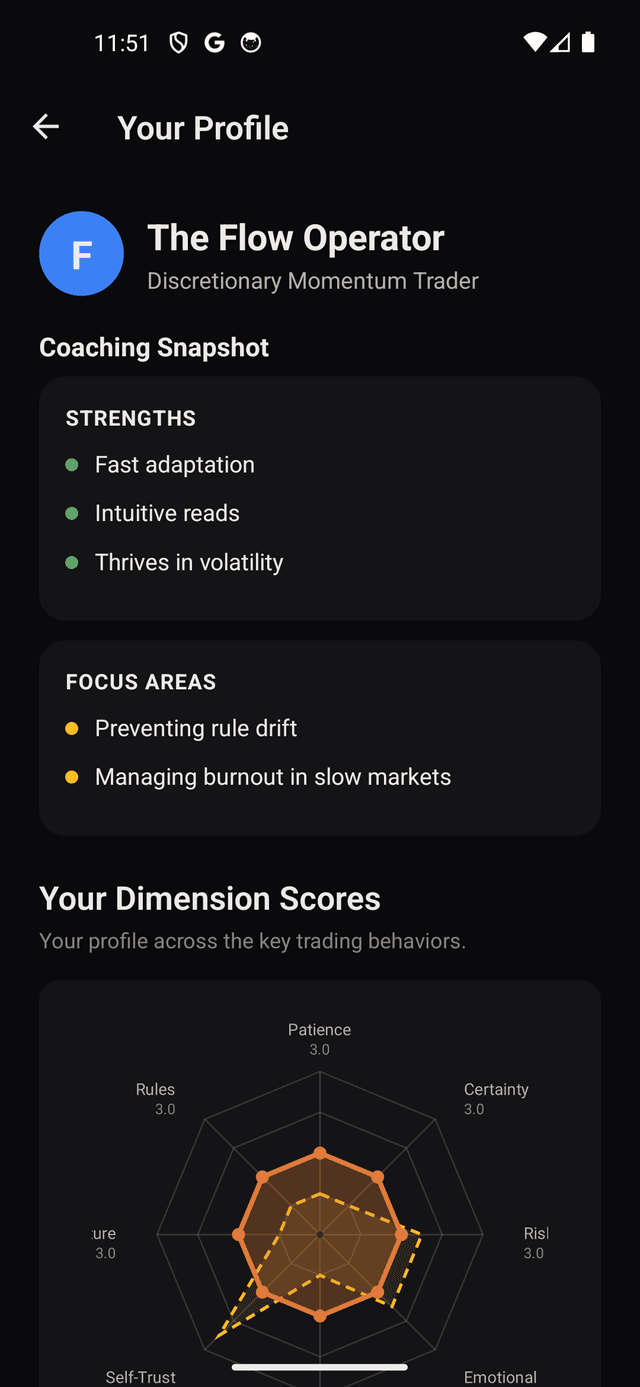 Behavioral persona summary with strengths and focus areas.